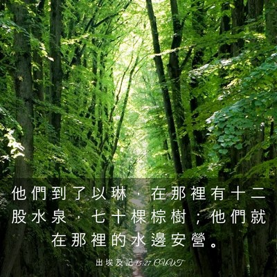 Picture 03 - 出 埃 及 記 15:27 CUVT - 他 們 到 了 以 琳 ， 在 那 裡 有 十 - Bible Verse Picture