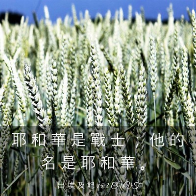 Picture 03 - 出 埃 及 記 15:3 CUVT - 耶 和 華 是 戰 士 ； 他 的 名 是 耶 - Bible Verse Picture