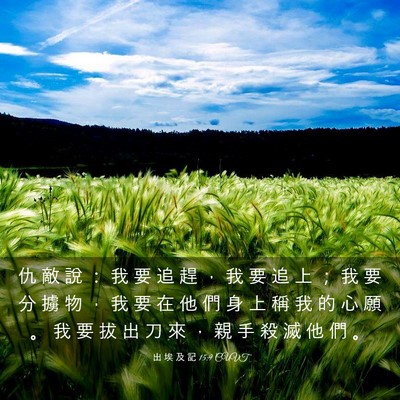 Picture 03 - 出 埃 及 記 15:9 CUVT - 仇 敵 說 ： 我 要 追 趕 ， 我 要 追 - Bible Verse Picture