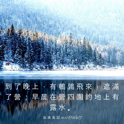 Picture 03 - 出 埃 及 記 16:13 CUVT - 到 了 晚 上 ， 有 鵪 鶉 飛 來 ， 遮 - Bible Verse Picture
