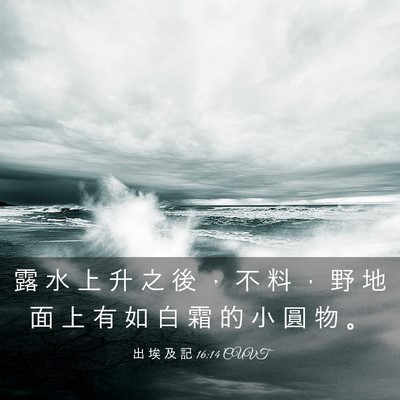 Picture 03 - 出 埃 及 記 16:14 CUVT - 露 水 上 升 之 後 ， 不 料 ， 野 地 - Bible Verse Picture