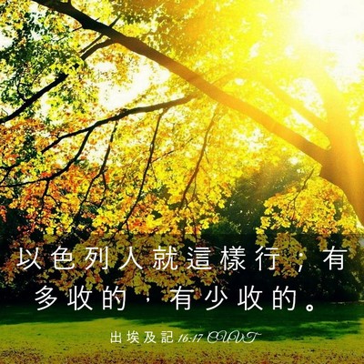Picture 03 - 出 埃 及 記 16:17 CUVT - 以 色 列 人 就 這 樣 行 ； 有 多 收 - Bible Verse Picture
