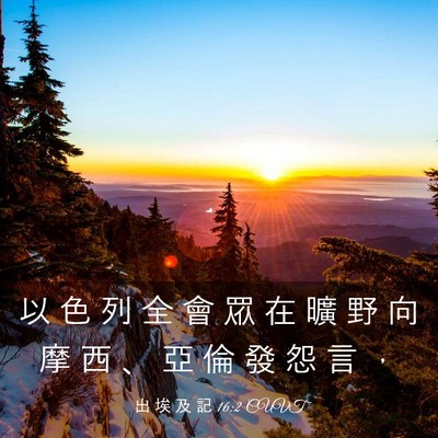 Picture 03 - 出 埃 及 記 16:2 CUVT - 以 色 列 全 會 眾 在 曠 野 向 摩 西 - Bible Verse Picture