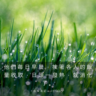 Picture 03 - 出 埃 及 記 16:21 CUVT - 他 們 每 日 早 晨 ， 按 著 各 人 的 - Bible Verse Picture