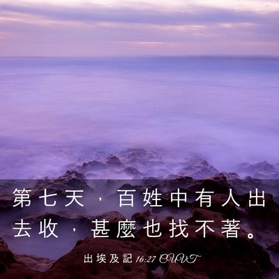 Picture 03 - 出 埃 及 記 16:27 CUVT - 第 七 天 ， 百 姓 中 有 人 出 去 收 - Bible Verse Picture