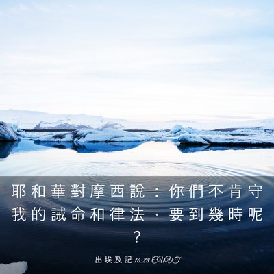 Picture 03 - 出 埃 及 記 16:28 CUVT - 耶 和 華 對 摩 西 說 ： 你 們 不 肯 - Bible Verse Picture