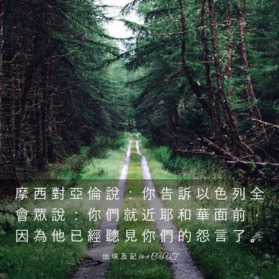 Picture 03 - 出 埃 及 記 16:9 CUVT - 摩 西 對 亞 倫 說 ： 你 告 訴 以 色 - Bible Verse Picture
