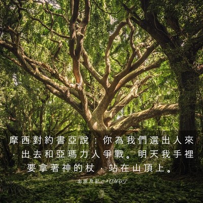 Picture 03 - 出 埃 及 記 17:9 CUVT - 摩 西 對 約 書 亞 說 ： 你 為 我 們 - Bible Verse Picture