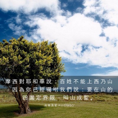 Picture 03 - 出 埃 及 記 19:23 CUVT - 摩 西 對 耶 和 華 說 ： 百 姓 不 能 - Bible Verse Picture