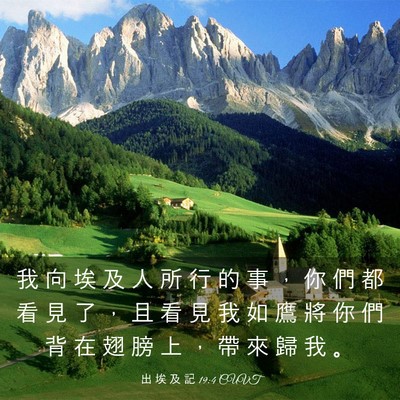 Picture 03 - 出 埃 及 記 19:4 CUVT - 我 向 埃 及 人 所 行 的 事 ， 你 們 - Bible Verse Picture