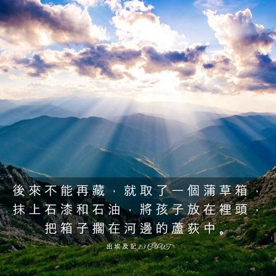 Picture 03 - 出 埃 及 記 2:3 CUVT - 後 來 不 能 再 藏 ， 就 取 了 一 個 - Bible Verse Picture