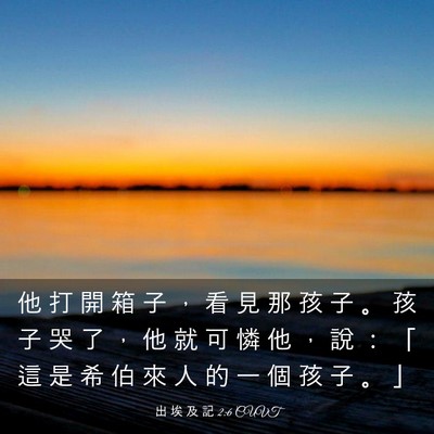 Picture 03 - 出 埃 及 記 2:6 CUVT - 他 打 開 箱 子 ， 看 見 那 孩 子 。 - Bible Verse Picture