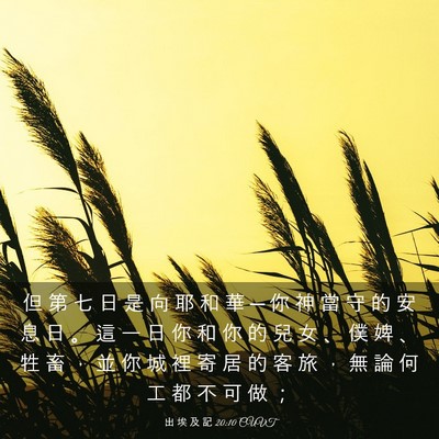 Picture 03 - 出 埃 及 記 20:10 CUVT - 但 第 七 日 是 向 耶 和 華 ─ 你 神 - Bible Verse Picture