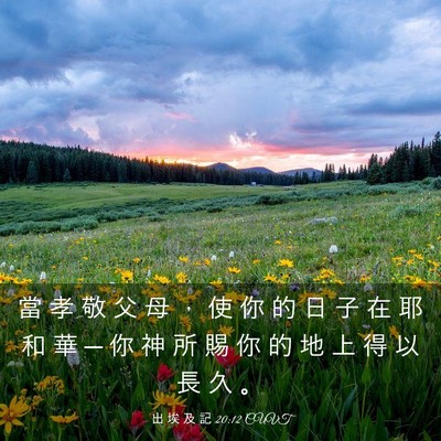 Picture 03 - 出 埃 及 記 20:12 CUVT - 當 孝 敬 父 母 ， 使 你 的 日 子 在 - Bible Verse Picture