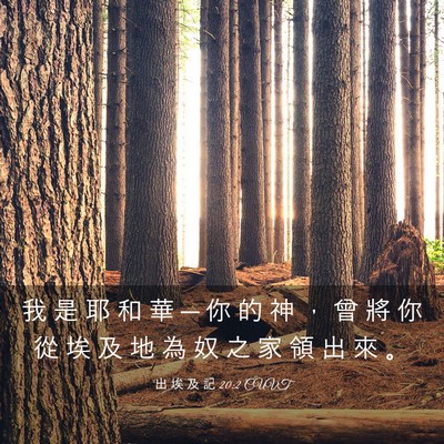 Picture 03 - 出 埃 及 記 20:2 CUVT - 我 是 耶 和 華 ─ 你 的 神 ， 曾 將 - Bible Verse Picture