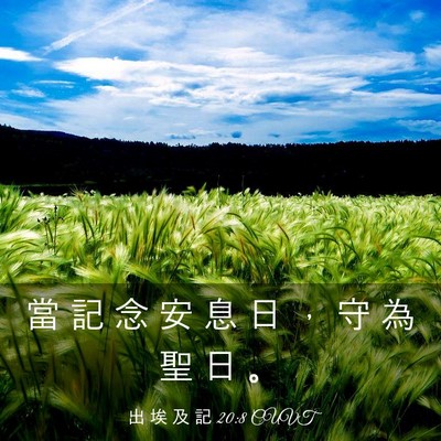 Picture 03 - 出 埃 及 記 20:8 CUVT - 當 記 念 安 息 日 ， 守 為 聖 日 - Bible Verse Picture