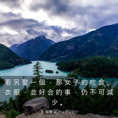 Picture 03 - 出 埃 及 記 21:10 CUVT - 若 另 娶 一 個 ， 那 女 子 的 吃 食 - Bible Verse Picture