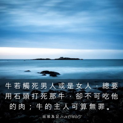 Picture 03 - 出 埃 及 記 21:28 CUVT - 牛 若 觸 死 男 人 或 是 女 人 ， 總 - Bible Verse Picture