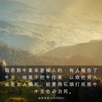 Picture 03 - 出 埃 及 記 21:29 CUVT - 倘 若 那 牛 素 來 是 觸 人 的 ， 有 - Bible Verse Picture