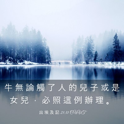 Picture 03 - 出 埃 及 記 21:31 CUVT - 牛 無 論 觸 了 人 的 兒 子 或 是 女 - Bible Verse Picture