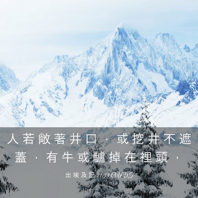 Picture 03 - 出 埃 及 記 21:33 CUVT - 人 若 敞 著 井 口 ， 或 挖 井 不 遮 - Bible Verse Picture