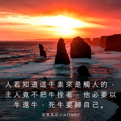 Picture 03 - 出 埃 及 記 21:36 CUVT - 人 若 知 道 這 牛 素 來 是 觸 人 的 - Bible Verse Picture