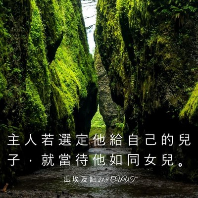 Picture 03 - 出 埃 及 記 21:9 CUVT - 主 人 若 選 定 他 給 自 己 的 兒 子 - Bible Verse Picture