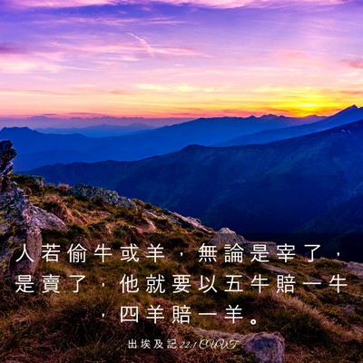 Picture 03 - 出 埃 及 記 22:1 CUVT - 人 若 偷 牛 或 羊 ， 無 論 是 宰 了 - Bible Verse Picture