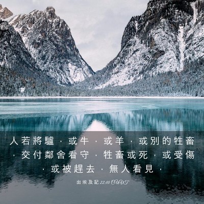 Picture 03 - 出 埃 及 記 22:10 CUVT - 人 若 將 驢 ， 或 牛 ， 或 羊 ， 或 - Bible Verse Picture