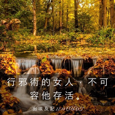 Picture 03 - 出 埃 及 記 22:18 CUVT - 行 邪 術 的 女 人 ， 不 可 容 他 存 - Bible Verse Picture