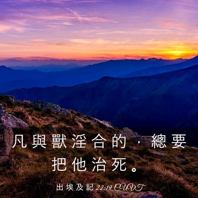 Picture 03 - 出 埃 及 記 22:19 CUVT - 凡 與 獸 淫 合 的 ， 總 要 把 他 治 - Bible Verse Picture