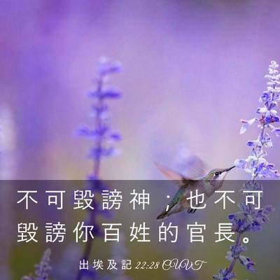 Picture 03 - 出 埃 及 記 22:28 CUVT - 不 可 毀 謗 神 ； 也 不 可 毀 謗 你 - Bible Verse Picture