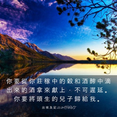 Picture 03 - 出 埃 及 記 22:29 CUVT - 你 要 從 你 莊 稼 中 的 穀 和 酒 醡 - Bible Verse Picture