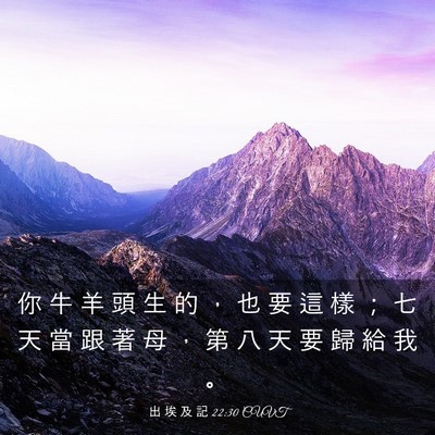 Picture 03 - 出 埃 及 記 22:30 CUVT - 你 牛 羊 頭 生 的 ， 也 要 這 樣 ； - Bible Verse Picture