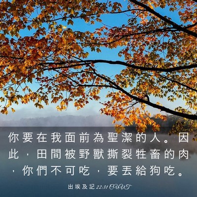Picture 03 - 出 埃 及 記 22:31 CUVT - 你 要 在 我 面 前 為 聖 潔 的 人 。 - Bible Verse Picture