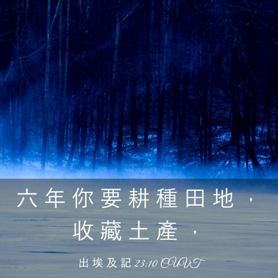 Picture 03 - 出 埃 及 記 23:10 CUVT - 六 年 你 要 耕 種 田 地 ， 收 藏 土 - Bible Verse Picture