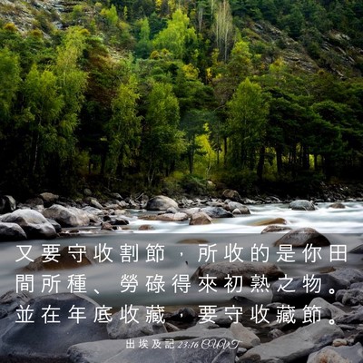Picture 03 - 出 埃 及 記 23:16 CUVT - 又 要 守 收 割 節 ， 所 收 的 是 你 - Bible Verse Picture