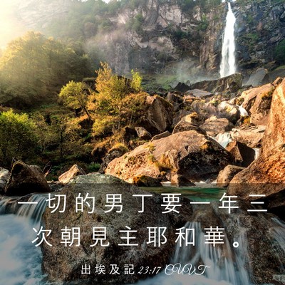 Picture 03 - 出 埃 及 記 23:17 CUVT - 一 切 的 男 丁 要 一 年 三 次 朝 見 - Bible Verse Picture