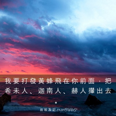 Picture 03 - 出 埃 及 記 23:28 CUVT - 我 要 打 發 黃 蜂 飛 在 你 前 面 ， - Bible Verse Picture