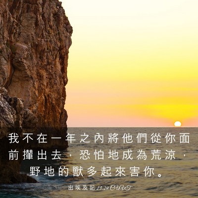 Picture 03 - 出 埃 及 記 23:29 CUVT - 我 不 在 一 年 之 內 將 他 們 從 你 - Bible Verse Picture