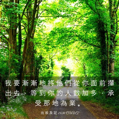 Picture 03 - 出 埃 及 記 23:30 CUVT - 我 要 漸 漸 地 將 他 們 從 你 面 前 - Bible Verse Picture