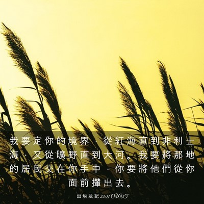 Picture 03 - 出 埃 及 記 23:31 CUVT - 我 要 定 你 的 境 界 ， 從 紅 海 直 - Bible Verse Picture