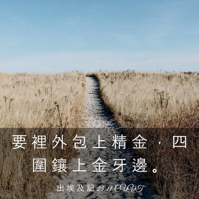 Picture 03 - 出 埃 及 記 25:11 CUVT - 要 裡 外 包 上 精 金 ， 四 圍 鑲 上 - Bible Verse Picture