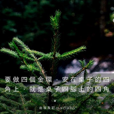 Picture 03 - 出 埃 及 記 25:26 CUVT - 要 做 四 個 金 環 ， 安 在 桌 子 的 - Bible Verse Picture