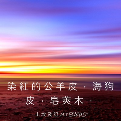 Picture 03 - 出 埃 及 記 25:5 CUVT - 染 紅 的 公 羊 皮 ， 海 狗 皮 ， 皂 - Bible Verse Picture