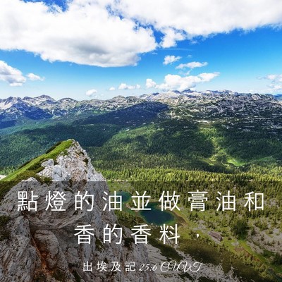 Picture 03 - 出 埃 及 記 25:6 CUVT - 點 燈 的 油 並 做 膏 油 和 香 的 香 - Bible Verse Picture