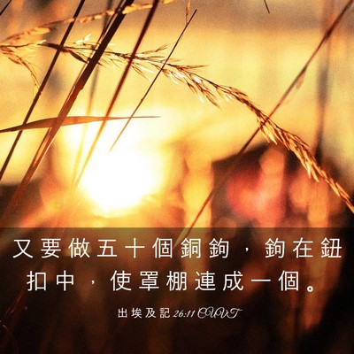 Picture 03 - 出 埃 及 記 26:11 CUVT - 又 要 做 五 十 個 銅 鉤 ， 鉤 在 鈕 - Bible Verse Picture
