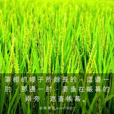 Picture 03 - 出 埃 及 記 26:13 CUVT - 罩 棚 的 幔 子 所 餘 長 的 ， 這 邊 - Bible Verse Picture