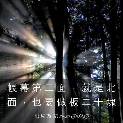 Picture 03 - 出 埃 及 記 26:20 CUVT - 帳 幕 第 二 面 ， 就 是 北 面 ， 也 - Bible Verse Picture