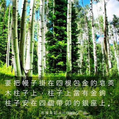 Picture 03 - 出 埃 及 記 26:32 CUVT - 要 把 幔 子 掛 在 四 根 包 金 的 皂 - Bible Verse Picture